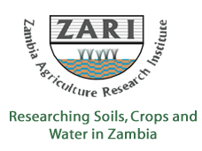 ZARI Logo